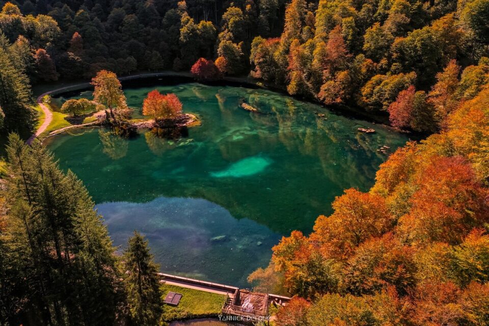 Sortie Pyrénées : lac de Bethmale, Petit canada