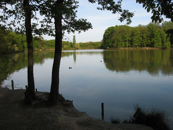 Sortie nature, Forêt de Bouconne