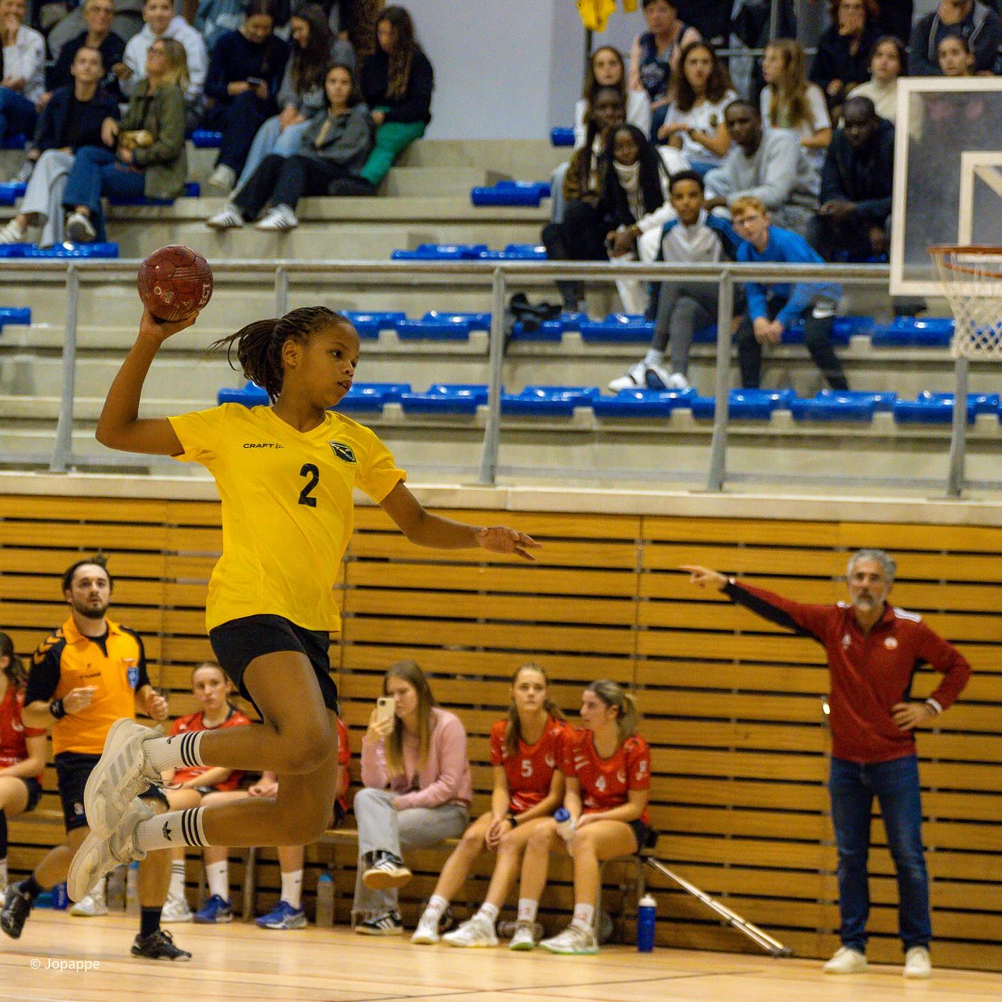 Handball féminin Pechbonnieu